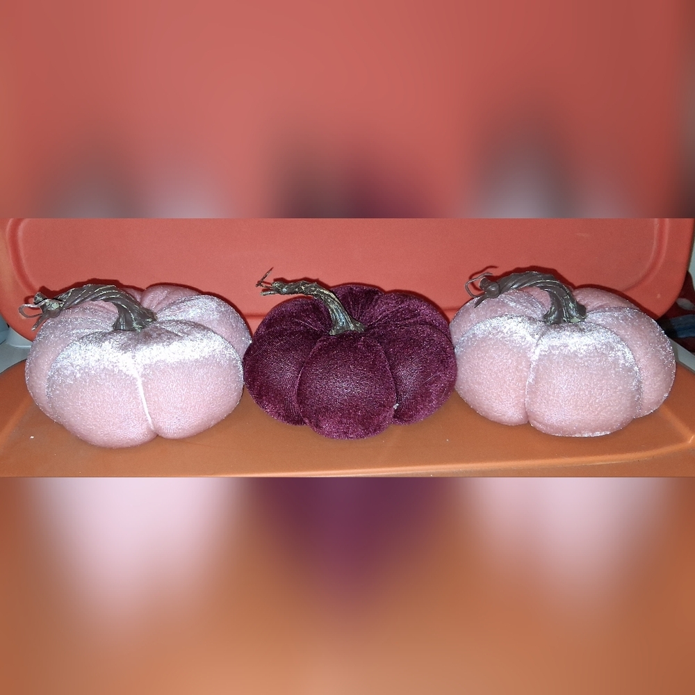 Pink Pumpkin Collection (4) - Picture 3 of 3